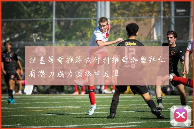 拉基蒂奇推荐武什科维奇加盟拜仁有潜力成为顶级中后卫