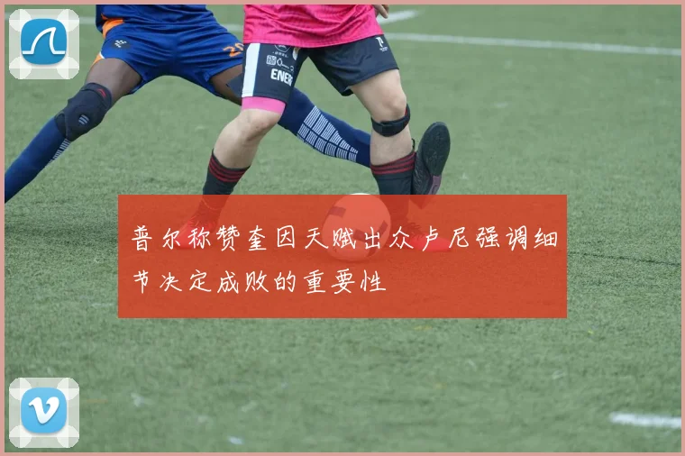 普尔称赞奎因天赋出众卢尼强调细节决定成败的重要性