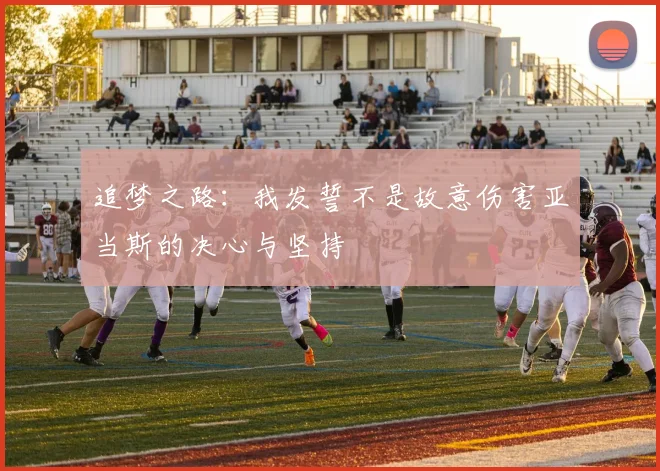 追梦之路：我发誓不是故意伤害亚当斯的决心与坚持