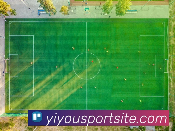 易游体育平台生态图